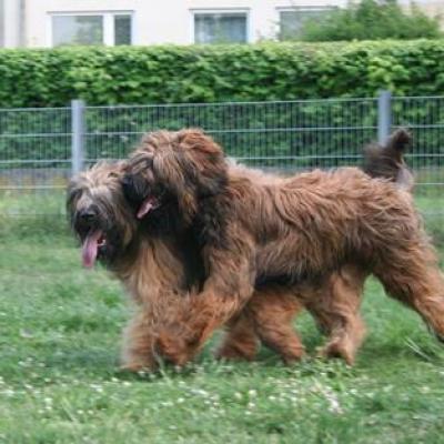 Courage Kiara069