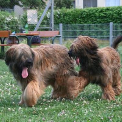 Courage Kiara116
