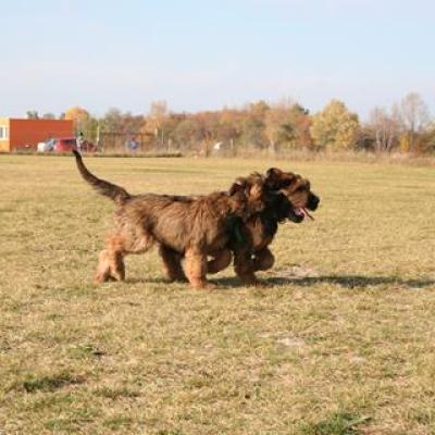 Courage Kiara026