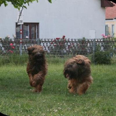 Courage Kiara064
