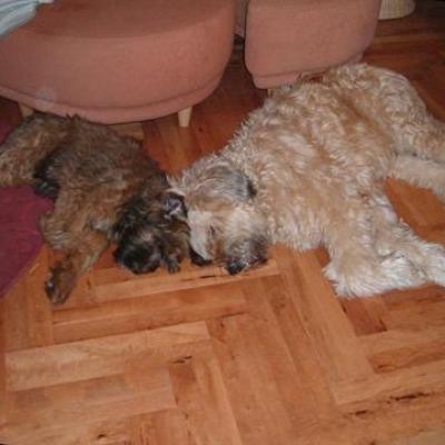 Kiara 20061126 03