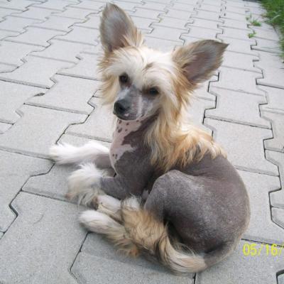 03 Latoya 20090517 02