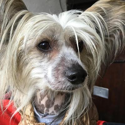 20161112 Leeroy