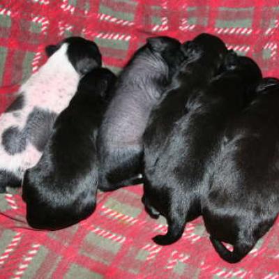 07 Woche 2 Week 2