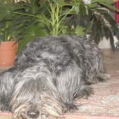 09 Batida 5 Jan 2002