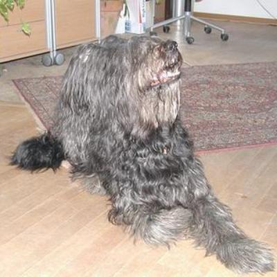 13 Batida 8 Mar 2003