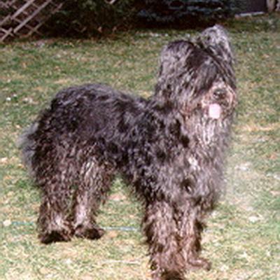 Batida168
