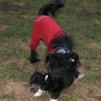 Zoey Mojitobaccardi001