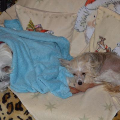 57 20131220 Needy Duran