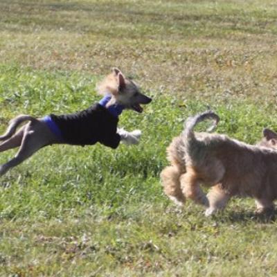 Tanner 20111008 02