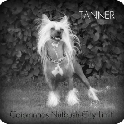 Tannerwebsitephoto 