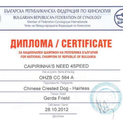 010 Champion Bg 28 Oct 2012