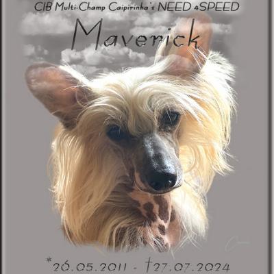 059 Maverick Memory
