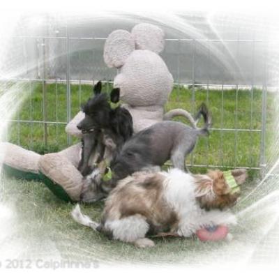 08 14 May 2012