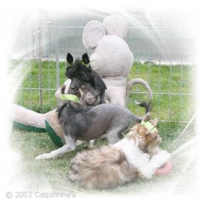 09 14 May 2012