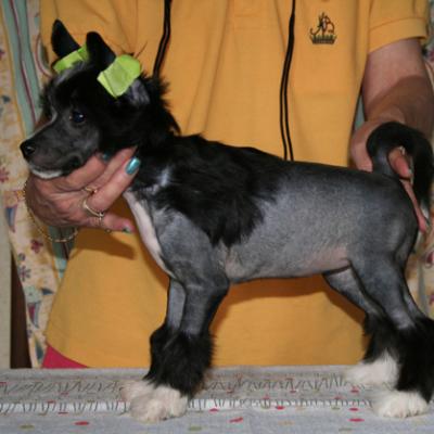 4 Hl Huendin46