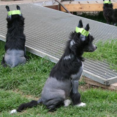 4 Hl Huendin61