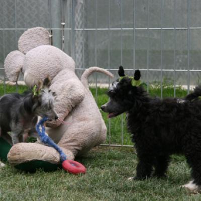 2 5 02