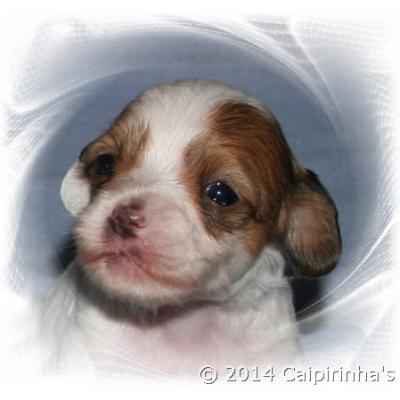 05 5 June 2014 Huendin Girl