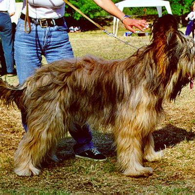 Diordodo01